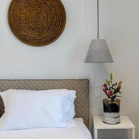 Villa Anemos Elia In Mykonos Ftelia (Mykonos)