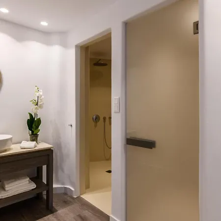 Villa Anemos Elia In Mykonos